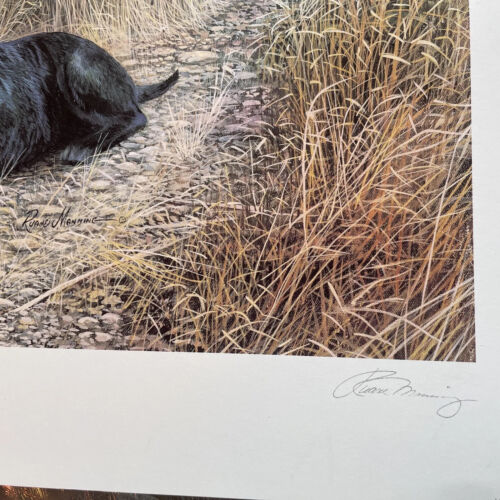 15 X Joblot Ruane Manning Black Labs Prints , Poster Art 16” X 20” Drawing - Picture 2 of 3