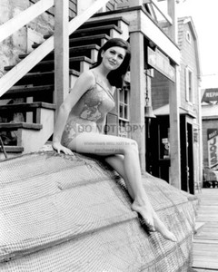 DA851 ACTRESS LINDA DARNELL PIN UP 8X10 PUBLICITY PHOTO