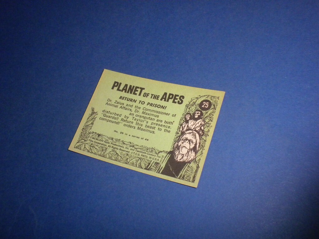 Picture 5 of 5