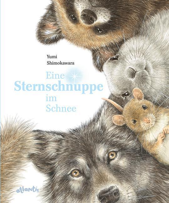 Thumbnail - Yumi Shimokawara Eine Sternschnuppe Schnee 9783715207742