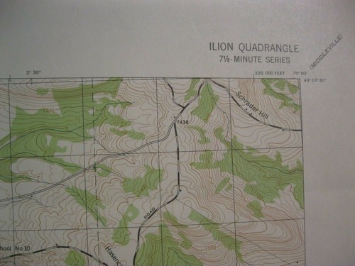 USGS topographic map Ilion NY