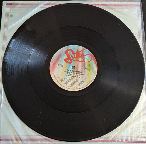 GAIL FREEMAN ~ Danger In The Airwaves FUNK SOUL HOUSE 12” Vinyl Single FREE SHIP - Picture 4 of 4