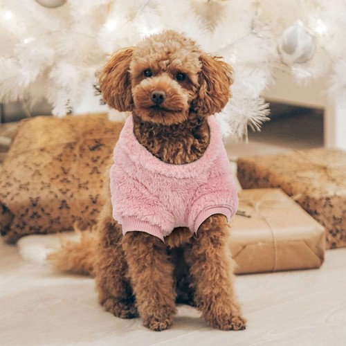 Winter Dog Fleece Clothes Pet Warm Vest Soft Puppy Coat Jacket for Small Dogs - Picture 5 of 15