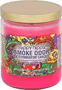 3pc - Smoke Odor Exterminator Candles -choose your fav scent candle - Picture 15 of 31