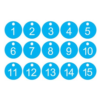 15Pcs, 1-15 Number Tags Round ID Number Key Tag Numbered Keychain Sky Blue-White