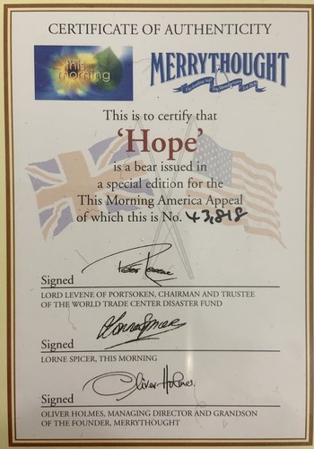 Merrythought HOPE Black Bear Limited Edition 9/11 ~ This Morning - signiert #43.818 - Bild 7 von 15