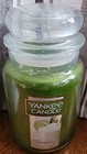 Yankee Candle VANILLA LIME 22 oz Original Large Single Wick Jar Candle NEW!