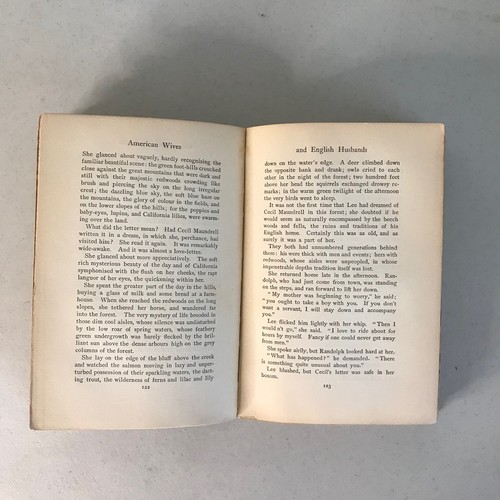 1898 *FIRST EDITION* American Wives and English Husbands by Gertrude Atherton - Imagen 11 de 13
