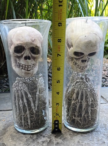 Apotheker Skelette mit Flügeln gruselig Halloween Diplay im Glas oder kann aufgehängt werden - Bild 5 von 5