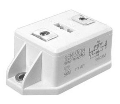  SKM111AR MODULE Power MOSFET Modules *vv
