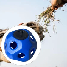 Hay Ball for Horse Supplies Multipurpose Convenient Durability Easy to Use for