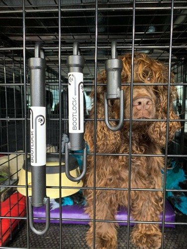 Stivali di blocco portellone posteriore furgone ventilazione sicura per animali domestici mantenere freschi cani blocco sfiato - Foto 6 di 12