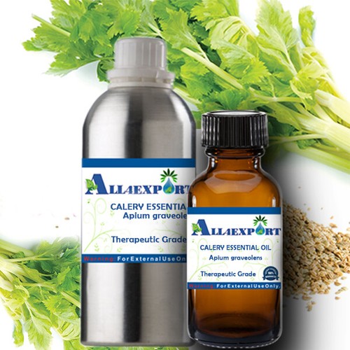 PURE CALERY ESSENTIAL OIL Apium graveolens NATURAL HERBAL FRAGRANCE - Picture 27 of 30