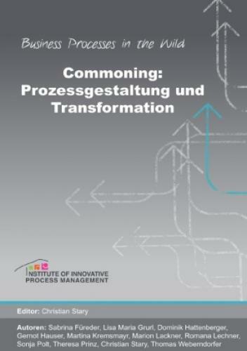 Business Processes In The Wild / Commoning Prozessgestaltung Und