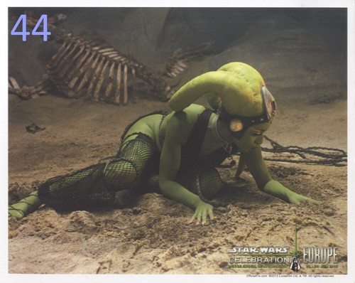 Star Wars OFFIZIELLES PIX Celebration Europa - leeres 8"x10" Foto Multi-Angebot OVP - Bild 55 von 103