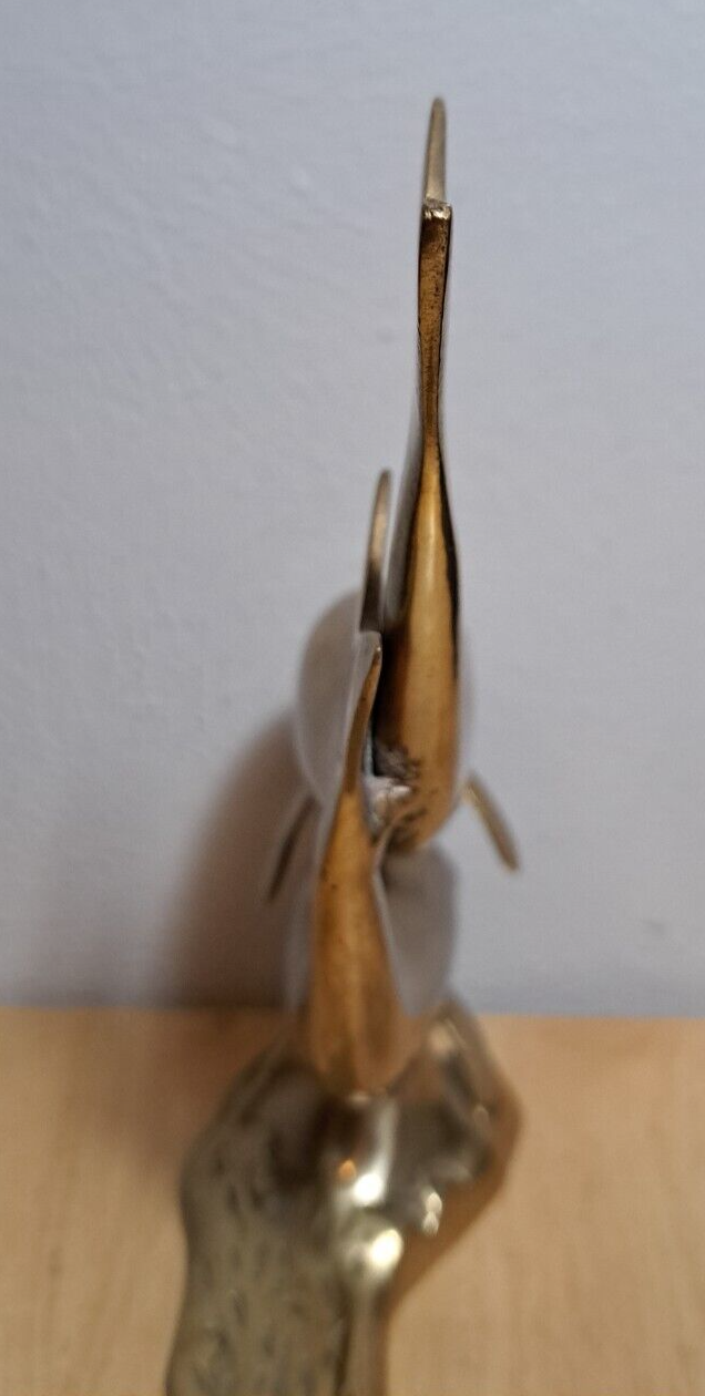 Picture 8 of 21
