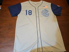 Success Promotions MiLB Jersey Corpus Christi Hooks  #18 Pence Size L Gray