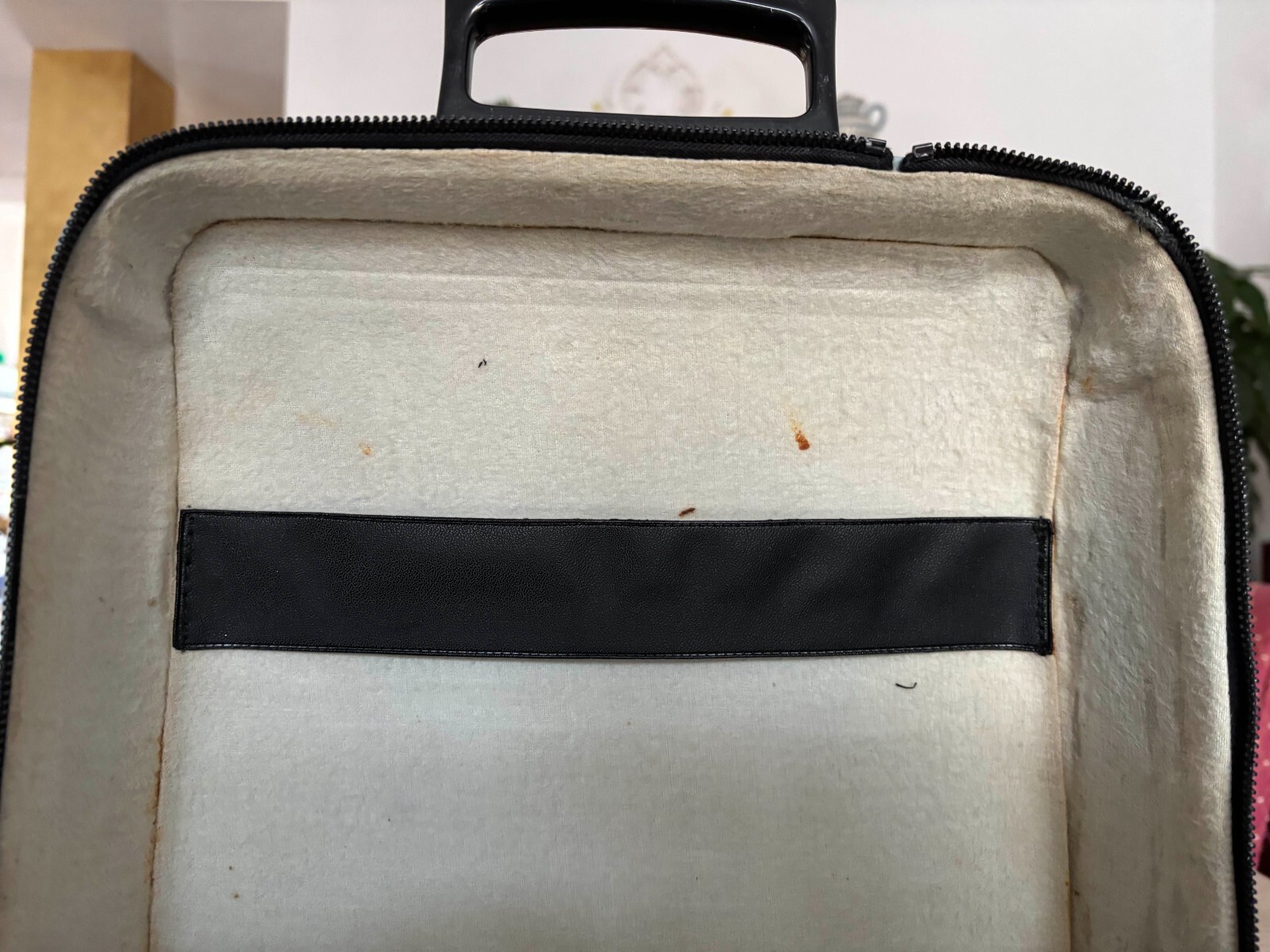 Foto 10 di 12