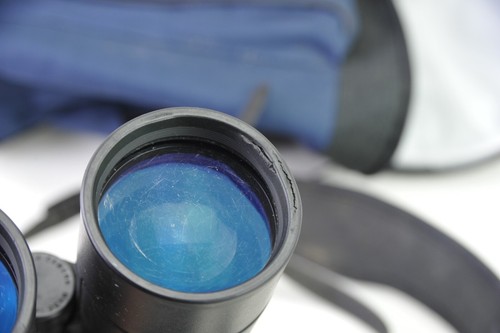 Leica ULTRAVID 10x50 HD Fernglas Binoculars, lesen /read - Bild 15 von 18