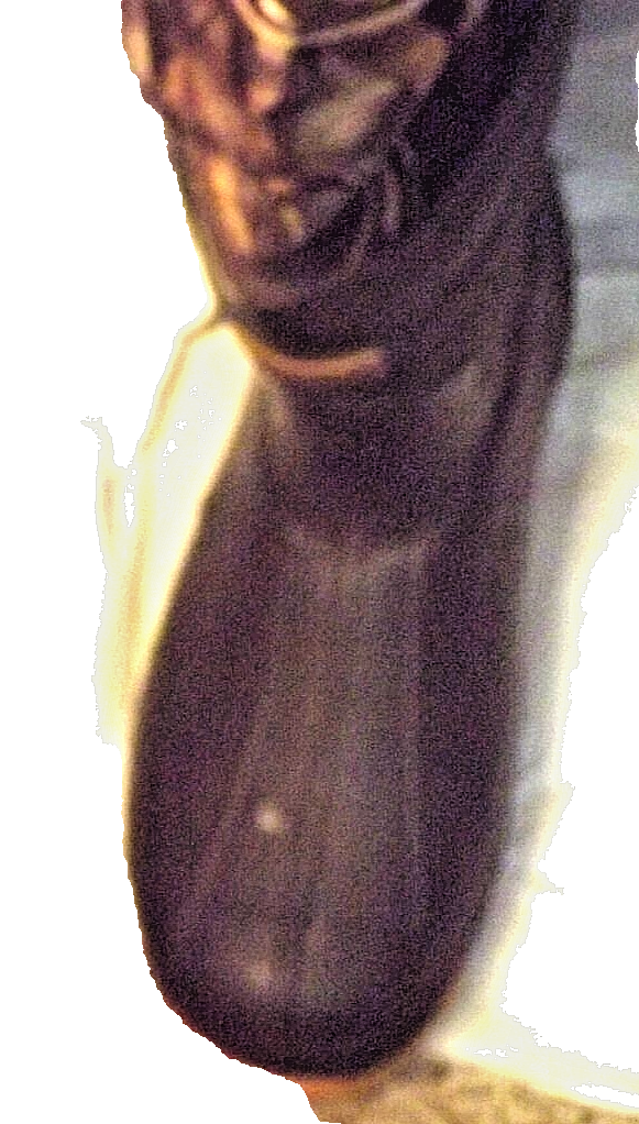Picture 7 of 20