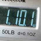 Bild 17 von 18