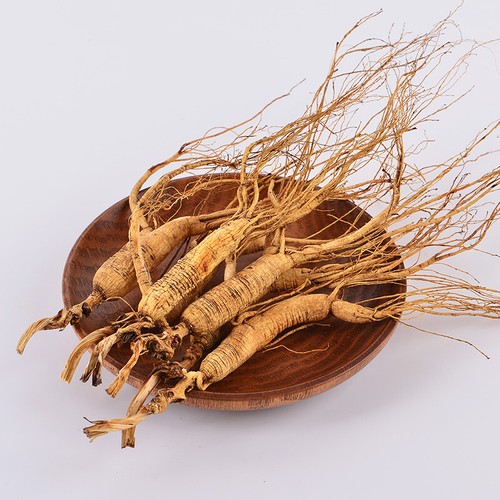 Dry Transplant Wild Ginseng Root 10-15 Years relative integrity Panax ginseng - Picture 3 of 6