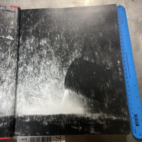 Manuel Alvarez Bravo (HARDCOVER) FRANZÖSISCHE AUSGABE - Bild 2 von 12