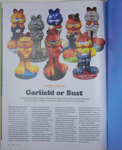 LIFE Garfield - Greatest. Kat. Ever. Memorable Comic Strips, Inside Garfield Movie - Bild 10 von 11