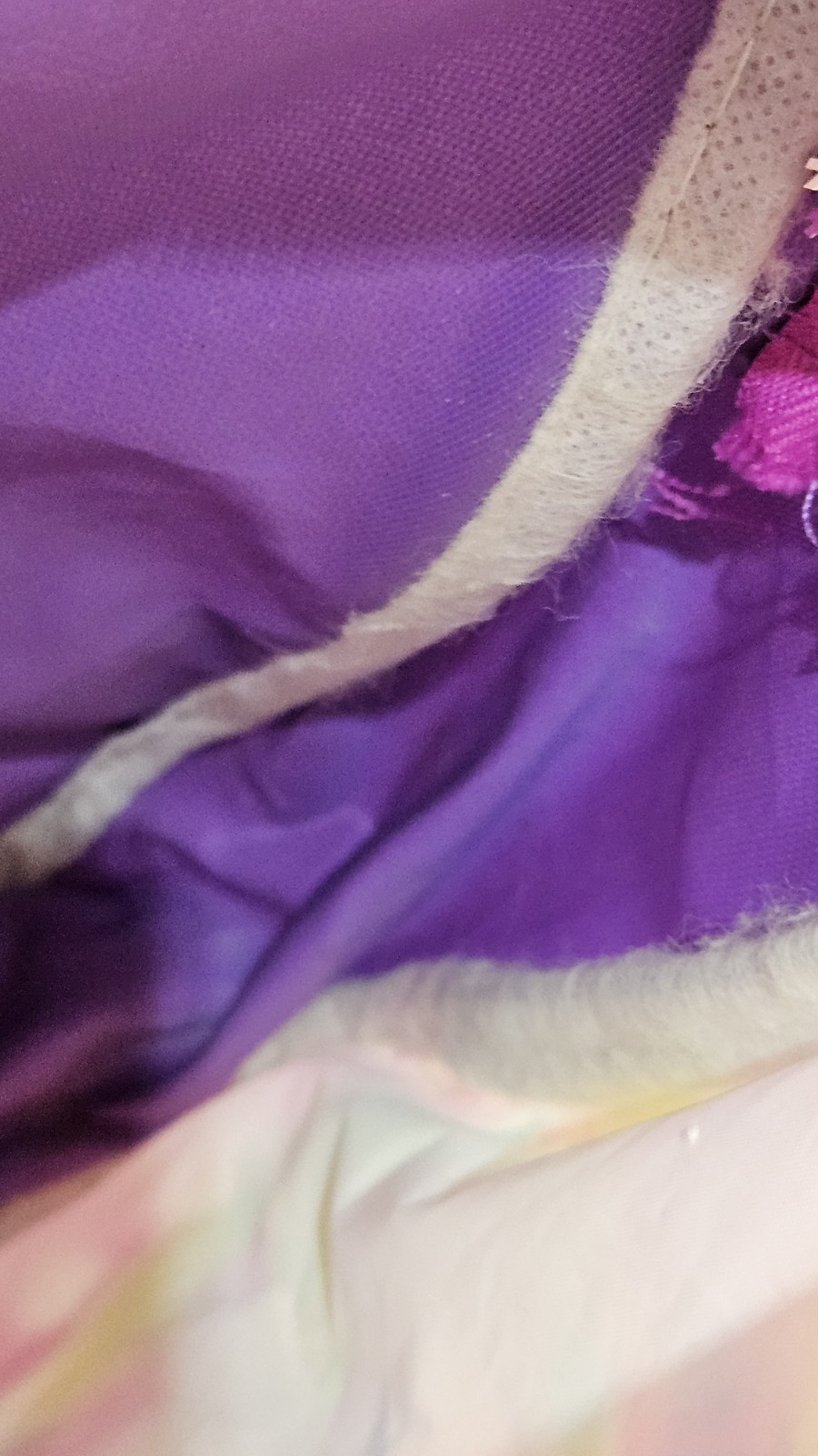 Foto 19 di 21