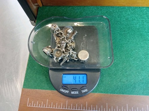 Sterling Silber Wüste Bettelarmband 7 Zoll lang, 16 Charms 41 Gs - Bild 10 von 10