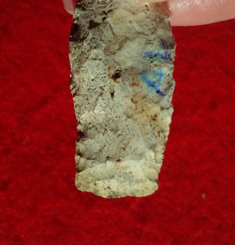1-3/4" PALEO COLDWATER ALABAMA ARROWHEAD PROJECTILE POINT AUTHENTIC ARROWHEAD - Picture 17 of 24