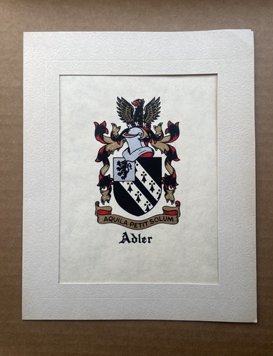 NEW Matted Coat of Arms Family Crest Heraldry Print (SEE! 260 Surnames A-P) GIFT - Bild 25 von 297
