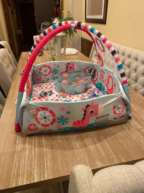 bright starts 5 in 1 pink