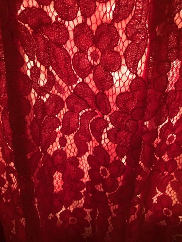 Women’s NEW Target Melonie Red Floral Lace Size 22W Lined, V Neck Dress - Picture 12 of 12