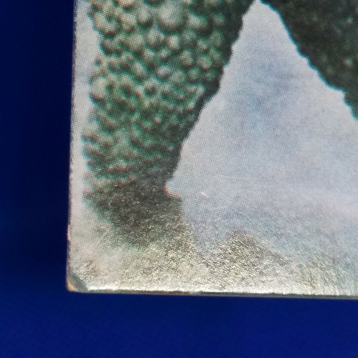 Picture 5 of 9