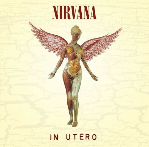 Buy In Utero by Nirvana (Record, 2022) online | eBay