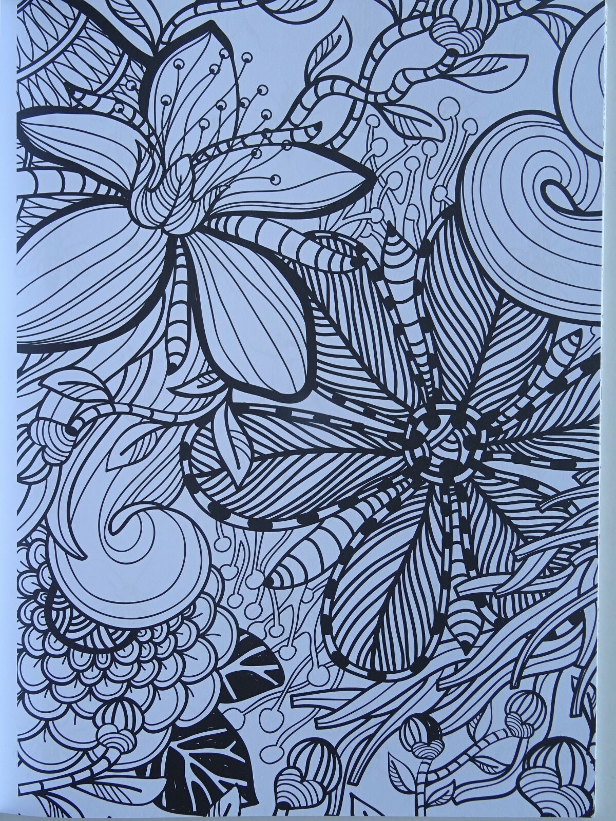 Picture 20 of 48