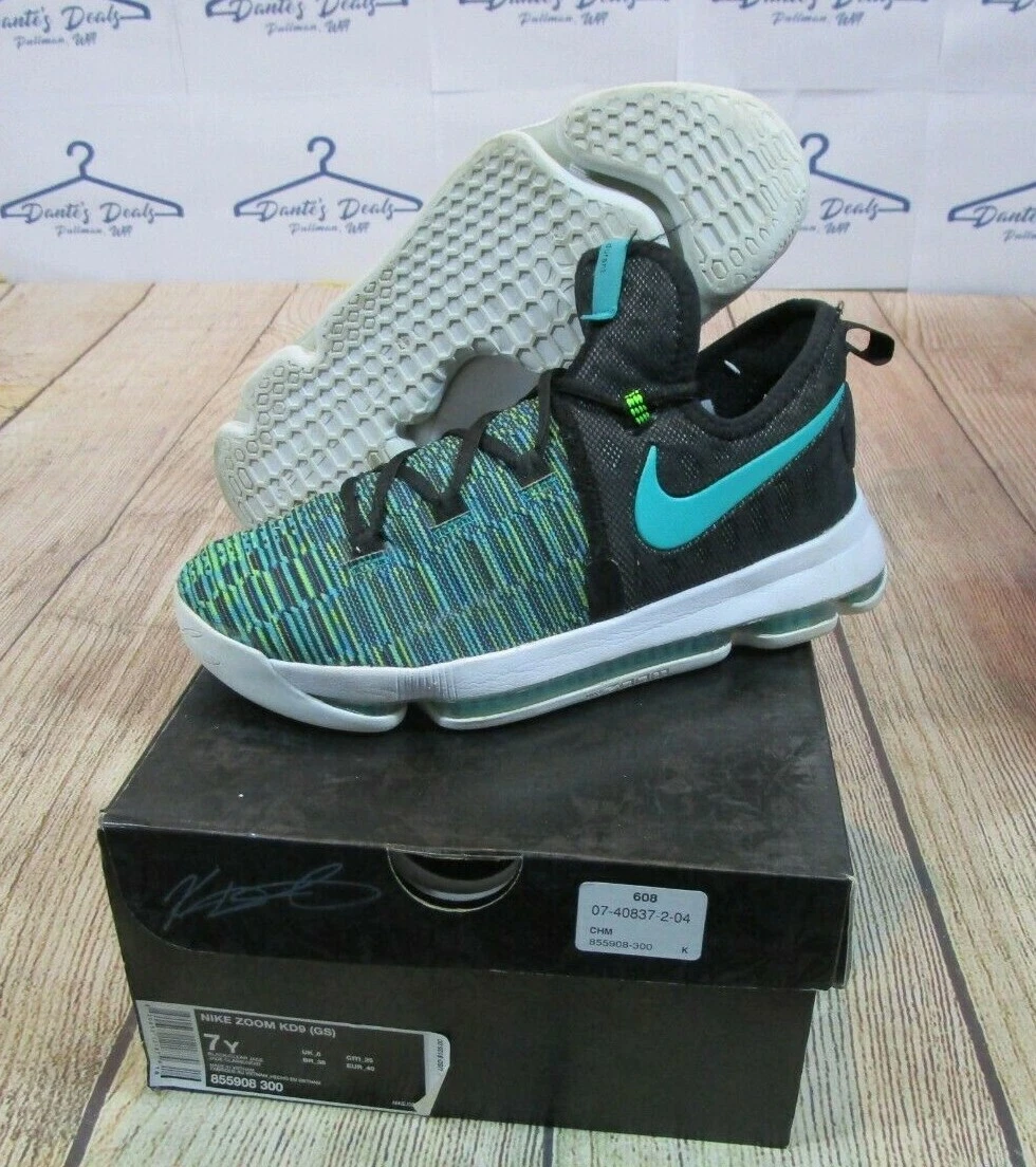 kd birds of paradise