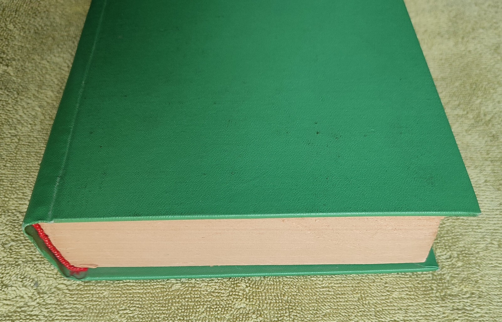 Picture 6 of 15