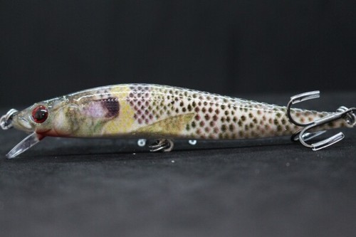 Señuelos de pesca Jerkbait 4 pulgadas 1/3 oz bamboleo apretado realista flotación lenta HM590 - Imagen 10 de 75