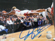 Chicago Bulls Collecting and Fan Guide 79