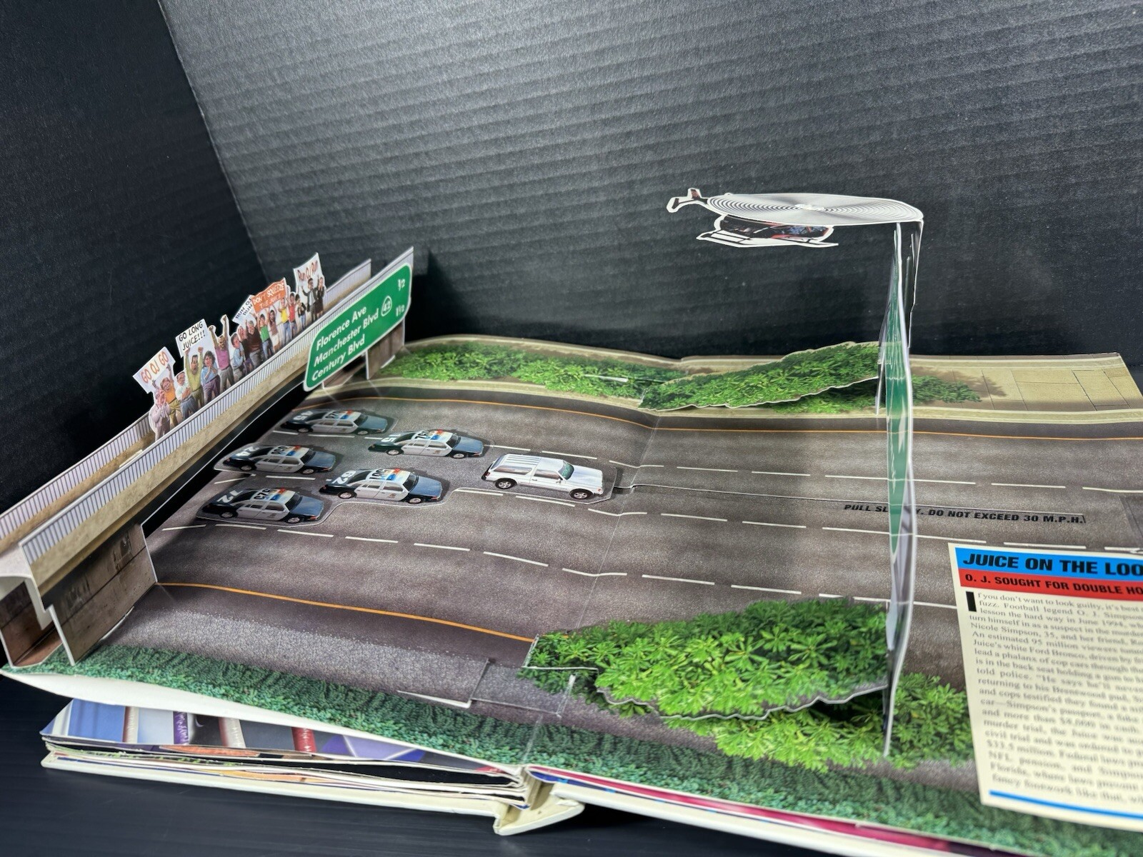 Picture 9 of 9