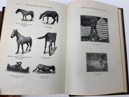 The Practical Stock Doctor Animal Husbandry Diseases Cures Illustrated 1912 - Picture 14 of 18