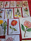 Bild 6 von 6