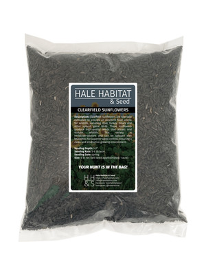 Clearfield Hybrid Sunflowers| Beyond Imazamox Tolerant | Deer Dove Turkey Plot