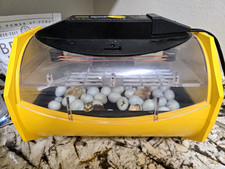 Brinsea Incubator Octagon Eco Holds 24 Chicken Eggs