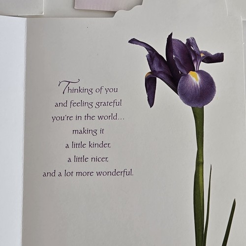 American Greetings Happy Birthday Blumen Blumen Frauen Karten mit Umschlag 3er Set - Bild 9 von 14