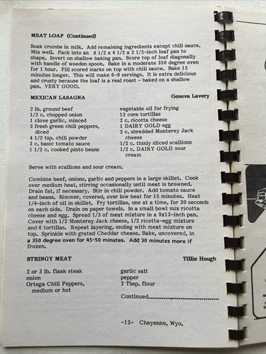 Cheyenne WY Wyoming cookbook VTG 1980s Foster Grandparent program dessert cookie - Bild 14 von 24