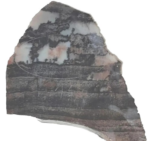 Piedra de cableado rugosa natural talón losa jaspe espécimen geología corte extremo lapidario - Imagen 8 de 20