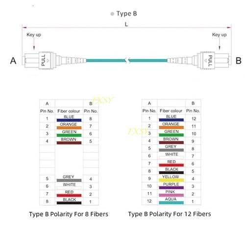 1-40M MPO to MPO OM4 Fiber Optic Patch Cord 8|12 Core Type B MTP/Female-Fema lot - Picture 5 of 8